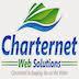 Charternet Web Solutions image 2
